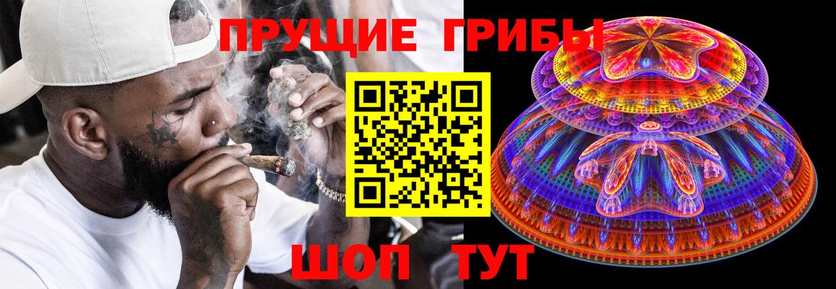 Псилоцибиновые грибы Psilocybe Клин
